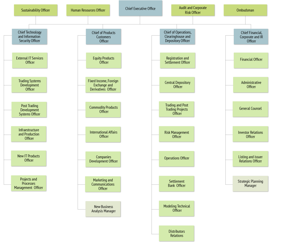 Blackrock Organizational Chart