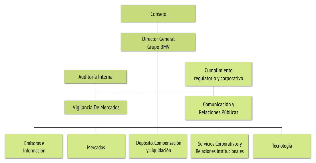 Stock options funcionamiento